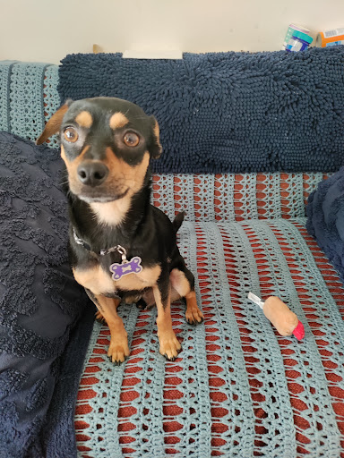 17500 Hesperian Blvd, San Lorenzo, CA 94580, USA