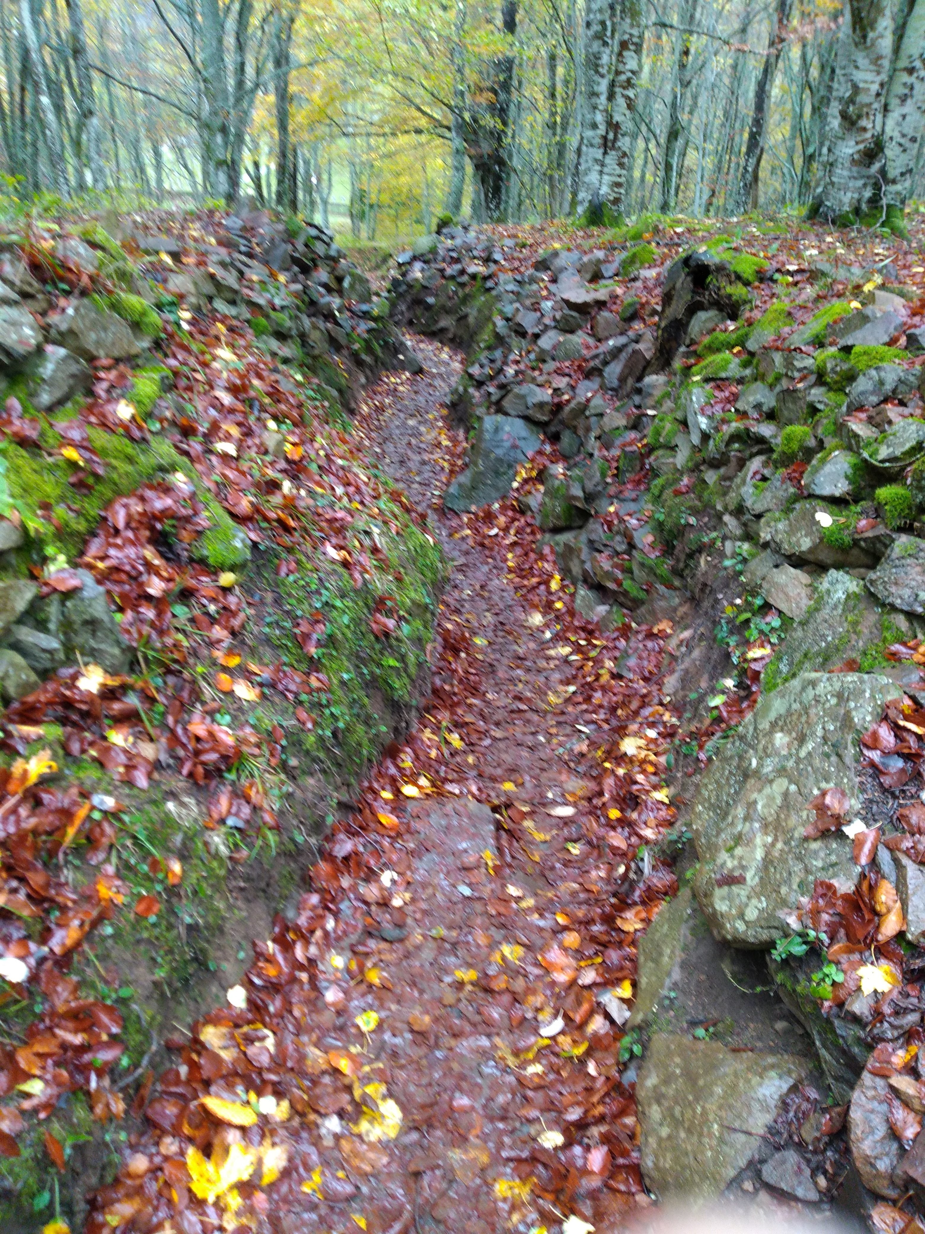 Photo n° 1 de l'avis de Sabine.c fait le 09/11/2019 à 08:21