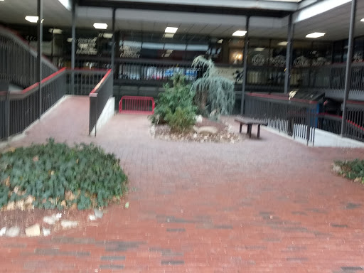 Optician «Steven Di Libero Opticians», reviews and photos, 1920 Mineral Spring Ave # 12, North Providence, RI 02904, USA