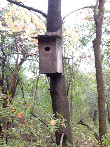 Park «Rouge Park», reviews and photos, Joy Rd, Detroit, MI 48228, USA