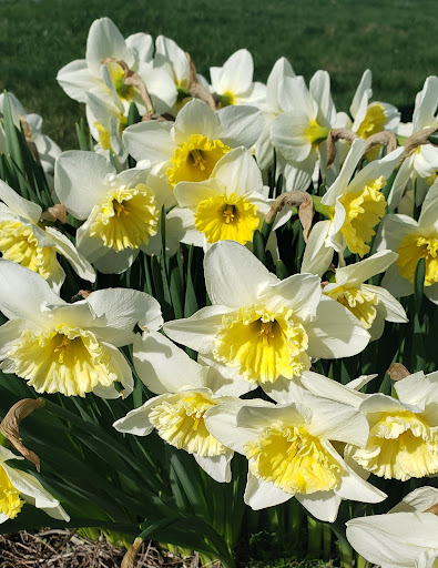 State Park «Colt State Park», reviews and photos, Route 114, Bristol, RI 02809, USA