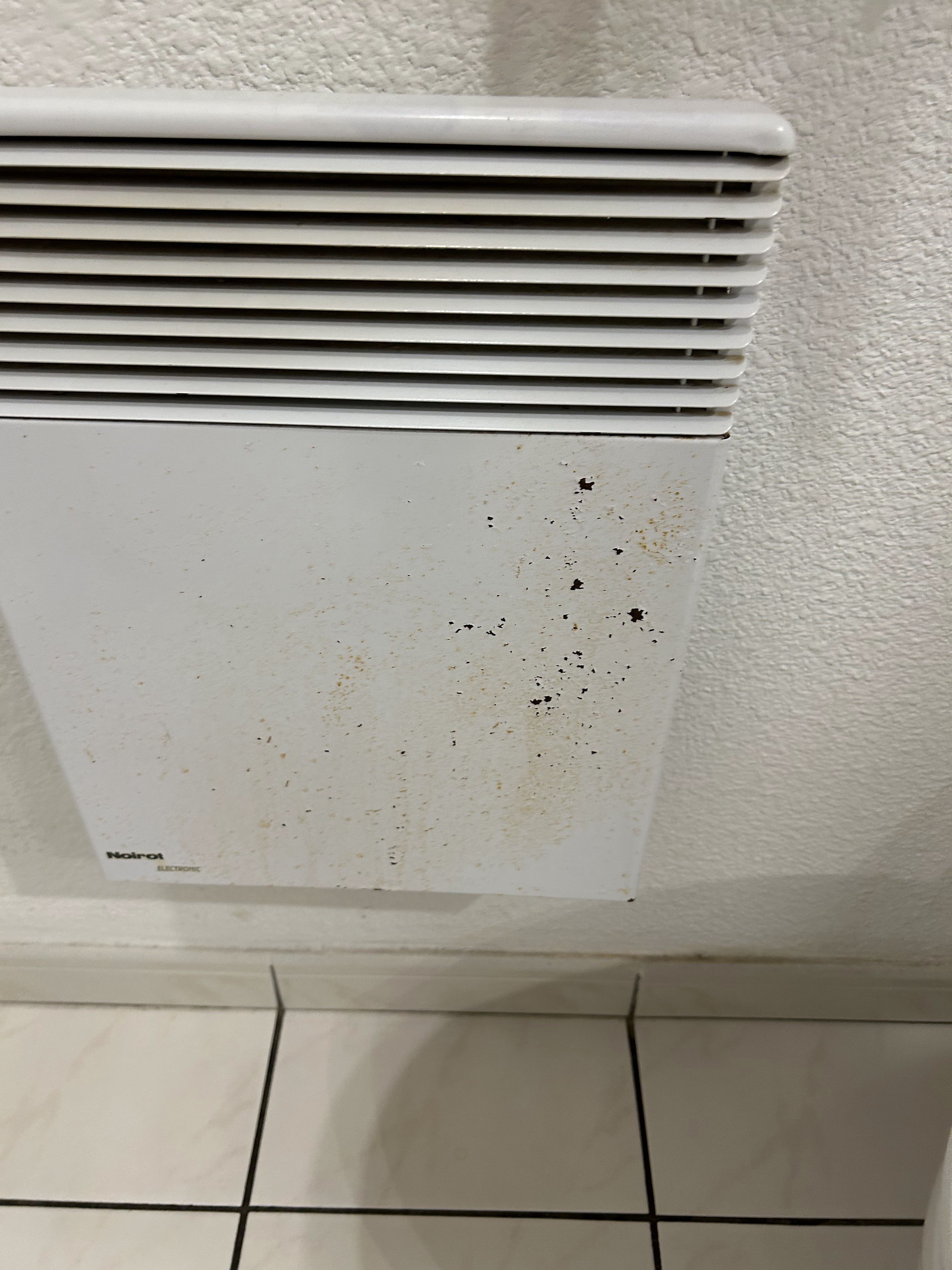 Photo n° 3 de l'avis de Chatton33Cari. fait le 29/10/2023 à 18:33