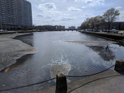 Art Museum «Chrysler Museum of Art», reviews and photos, 1 Memorial Pl, Norfolk, VA 23510, USA