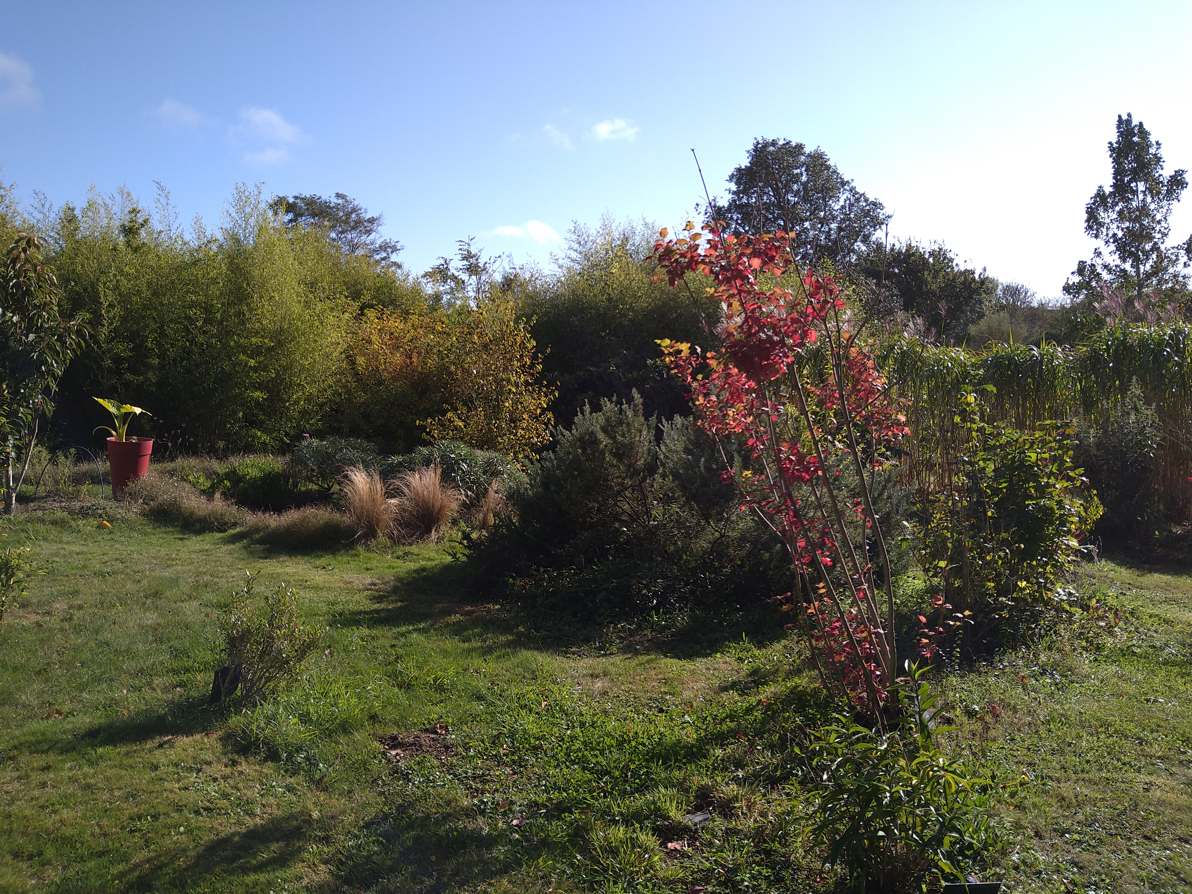 Photo n° 6 de l'avis de Pascal.a fait le 27/10/2021 à 21:52