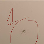 Photo n°1 de l'avis de Sandhu. fait le 13/11/2021 à 04:10 sur le  Albergo Italia à Novara