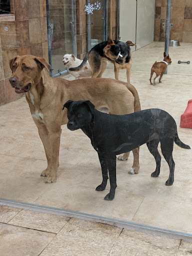 Pet Supply Store «PetSmart», reviews and photos, 13866 Metrotech Dr, Chantilly, VA 20151, USA