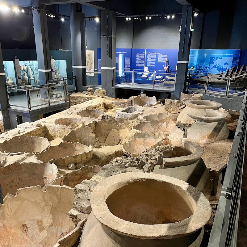 Musée des Docks romains de la Ville de Marseille