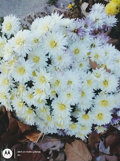 Thrift Store «Second Blessing Thrift Store Inc.», reviews and photos, 2323 Central Ave, Wichita, KS 67214, USA