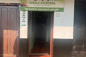 Kerala Ayurveda image