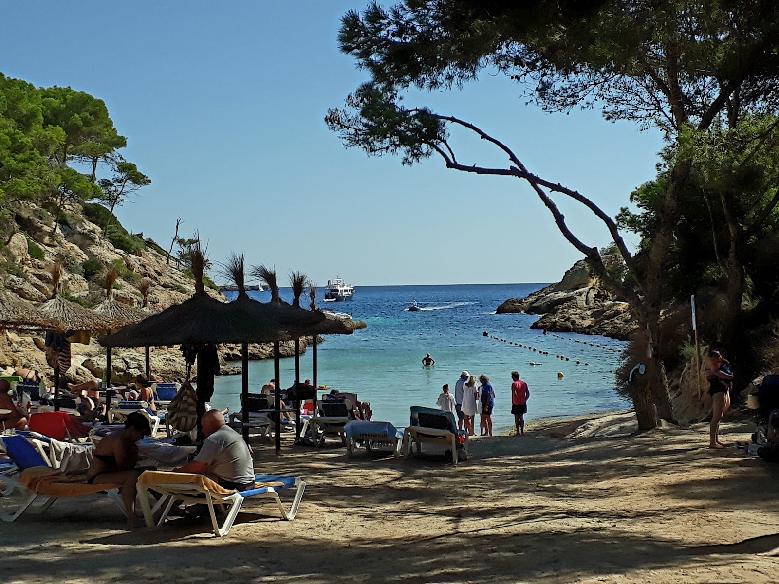 Photo de Cala Cap Falco avec micro baie