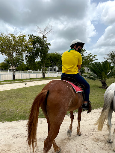 Stables, Cap Cana