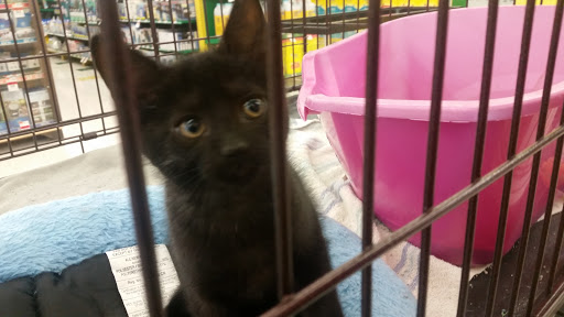 Pet Supply Store «Pet Supplies Plus», reviews and photos, 311 Sagamore Pkwy N, Lafayette, IN 47904, USA