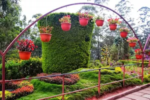 Munnar Rose Garden image