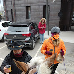 Photo n°3 de l'avis de Horseland.a fait le 10/05/2022 à 19:32 sur le  Bar Molino Centumbrie à Agello