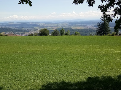 Panoramaweg Leubringen