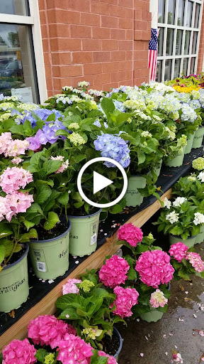 Grocery Store «Super Stop & Shop», reviews and photos, 80 Birdsall Rd, Baldwin Place, NY 10505, USA