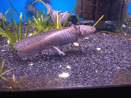 Tropical Fish Store «William Tricker Inc», reviews and photos, 7125 Tanglewood Dr, Cleveland, OH 44131, USA