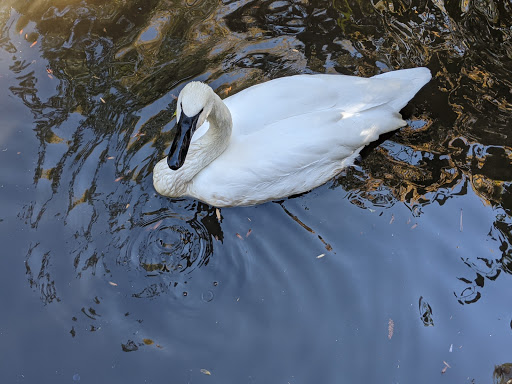 Zoo «Prospect Park Zoo», reviews and photos, 450 Flatbush Ave, Brooklyn, NY 11225, USA