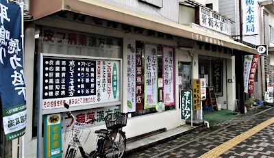 新栃木薬局