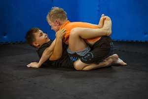 Kampfsportschule Einherjar image