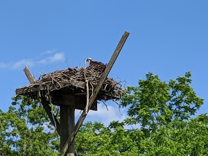 Otter Creek Preserve - photo 18