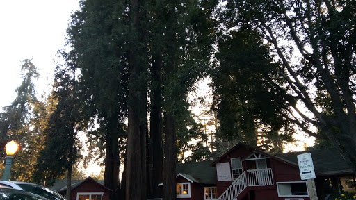 Bicycle Store «Epicenter Cycling», reviews and photos, 8035 Soquel Dr, Aptos, CA 95003, USA