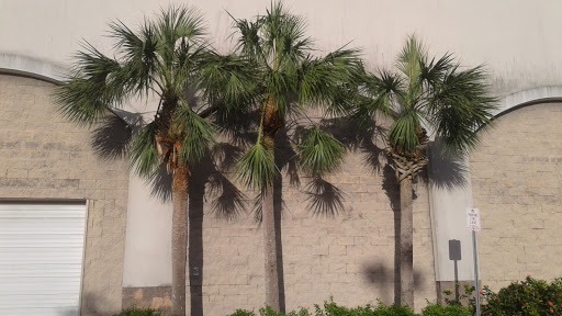 Warehouse club «BJ’s Wholesale Club», reviews and photos, 1929 NE Pine Island Rd, Cape Coral, FL 33909, USA