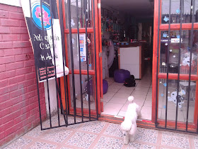 Peluqueria Canina Marta Y Ale