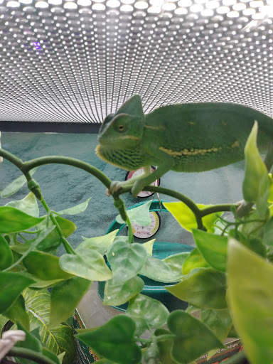 Pet Supply Store «Petco Animal Supplies», reviews and photos, 2095 N Harris Blvd, Layton, UT 84041, USA