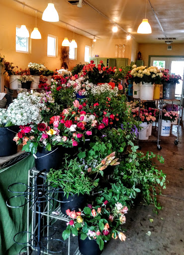 Dragonfly Farm and Floral