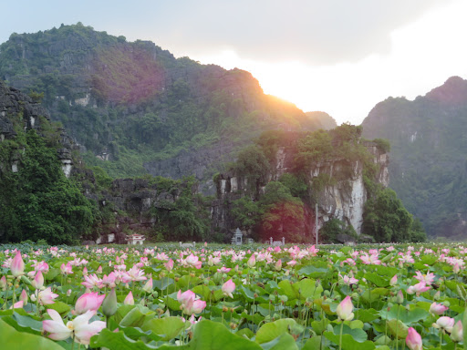 Top 20 cửa hàng altech Huyện Hoa Lư Ninh Bình 2022