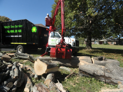 Tree felling Nashville