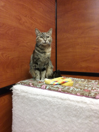 Pet Supply Store «PetSmart», reviews and photos, 6050 Peachtree Pkwy, Norcross, GA 30092, USA