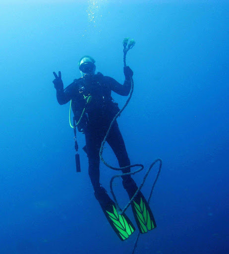 Dive Shop «Dive Shop Kissimmee», reviews and photos, 4916 W Irlo Bronson Memorial Hwy, Kissimmee, FL 34746, USA