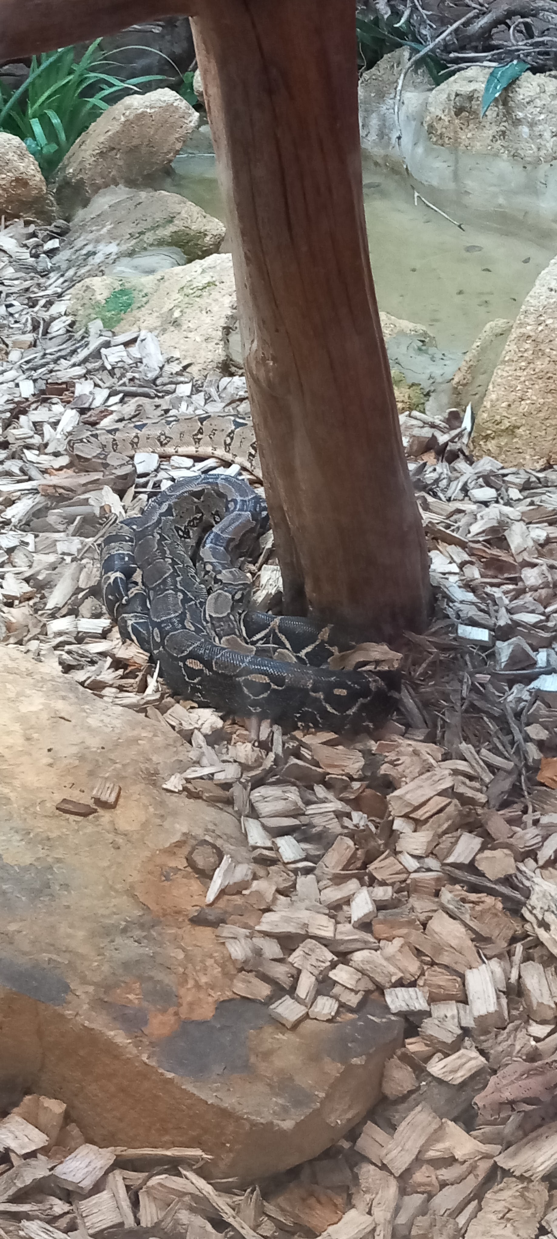 Photo n° 13 de l'avis de Laurent.e fait le 20/09/2023 à 12:16