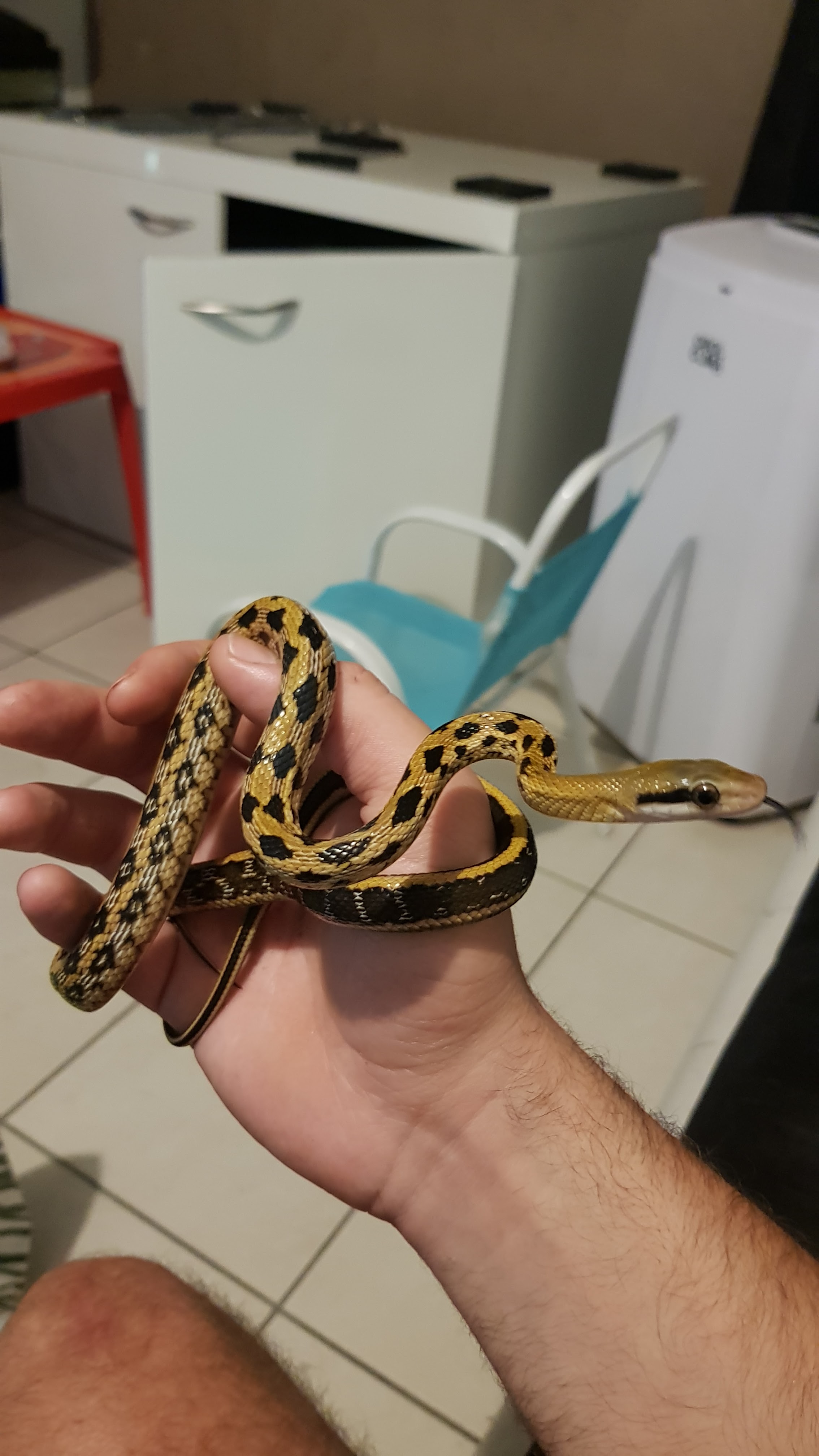 Photo n° 5 de l'avis de Jimy.r fait le 04/09/2019 à 07:35