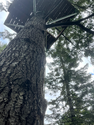 Tourist Attraction «Tree to Tree Adventure Park», reviews and photos, 2975 SW Nelson Rd, Gaston, OR 97119, USA