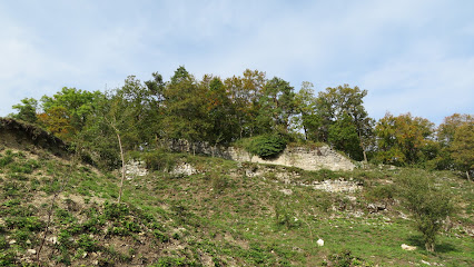 Ruine Frohberg