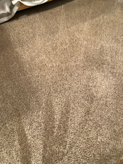 Carpet Pros