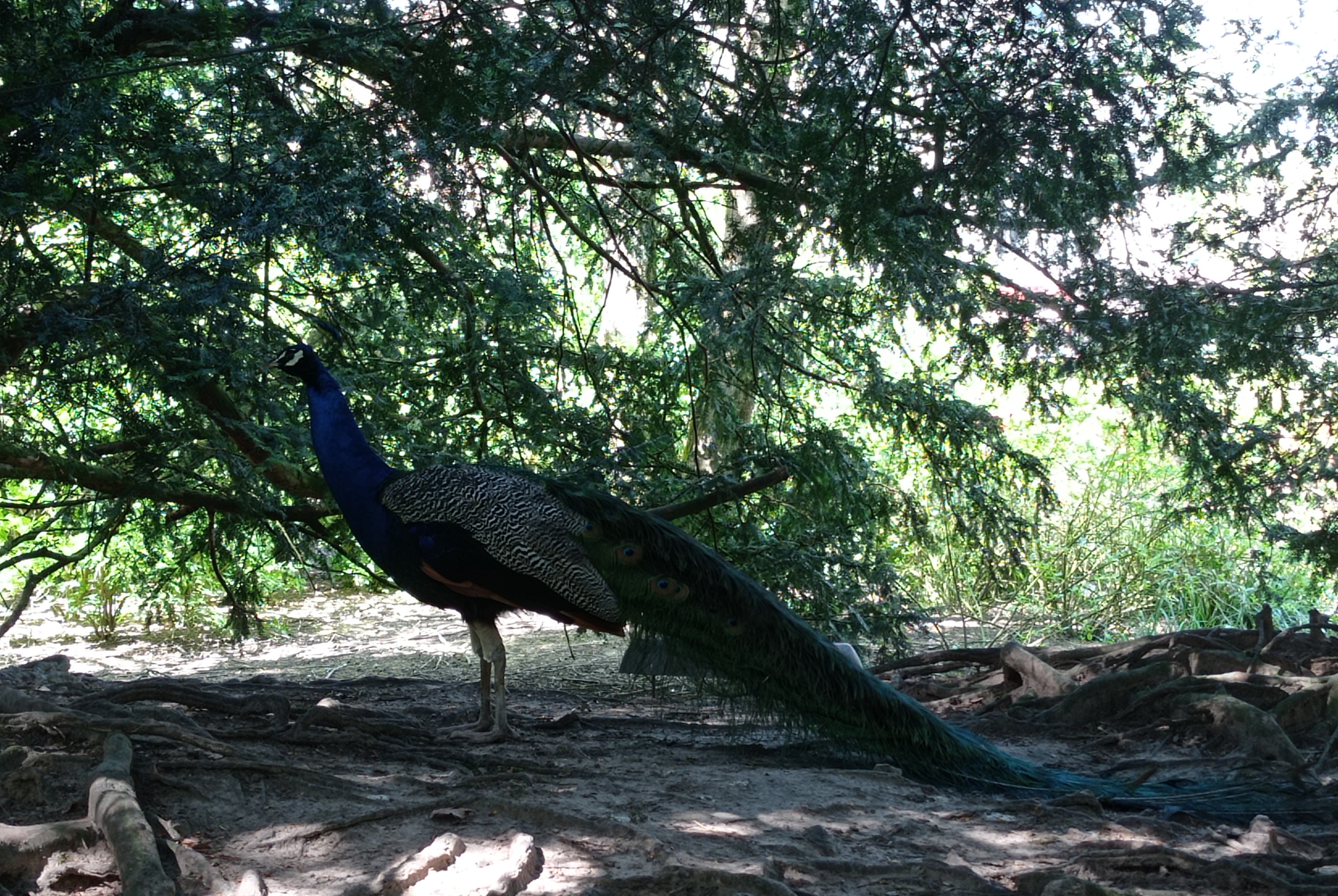 Photo n° 8 de l'avis de Louise.i fait le 04/05/2023 à 17:23