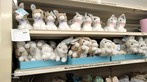 Discount Store «Big Lots», reviews and photos, 4613 Dixie Hwy, Fairfield, OH 45014, USA