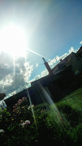 Opinii despre Ho-Fa Car Kft - autóbérlés-autókölcsönzés-buszbérlés-haszongépjárműbérlés în Solt - Autókölcsönző