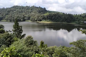 Patenggang Lake image