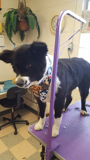 Ye Olde Clippe Shoppe