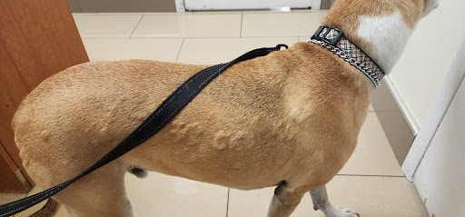 James Snow Animal Hospital image