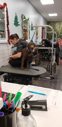 Pet Store «PetSmart», reviews and photos, 3957 Vineyard Dr, Dunkirk, NY 14048, USA