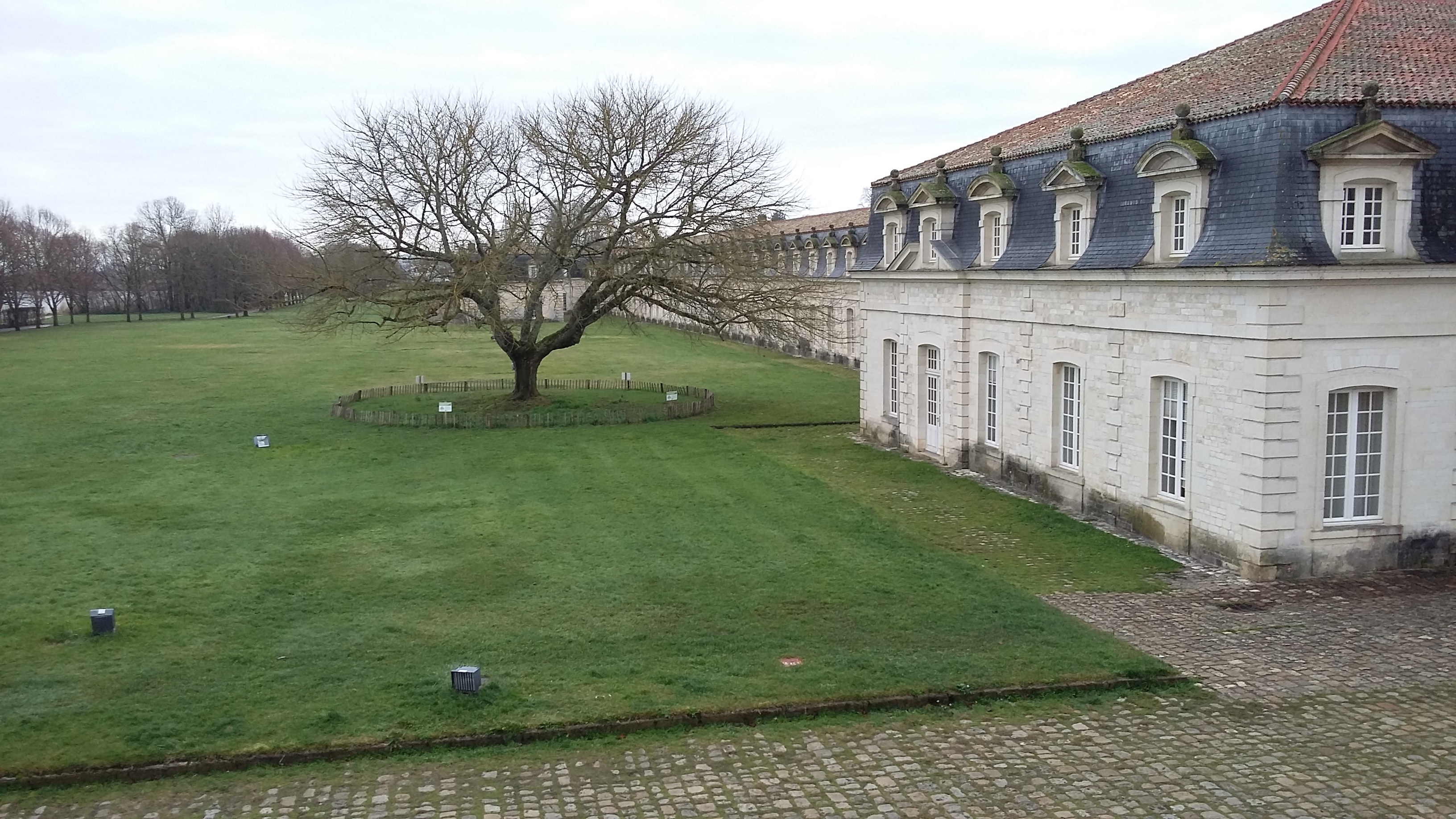 Photo n° 1 de l'avis de Philippe. fait le 08/02/2019 à 16:24