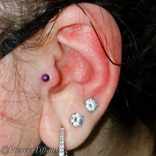 Explore vermont tattoo ideas, creative tattoo ideas in Somerville, available at Piercings by Tiffany at Artisanal Tattoo