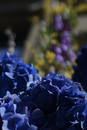 Museum «The Richard H. Driehaus Museum», reviews and photos, 40 E Erie St, Chicago, IL 60611, USA