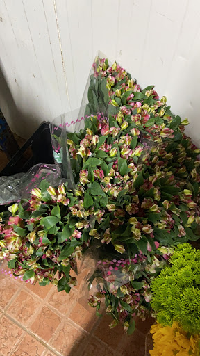 Distribuidora Centroamericana de Flores